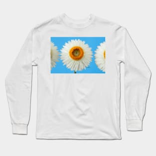 Helichrysum bracteatum  &#39;Nevada White&#39;  Everlasting flower Long Sleeve T-Shirt